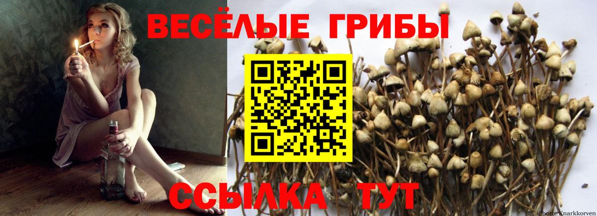 Галлюциногенные грибы ЛСД Сосновый Бор
