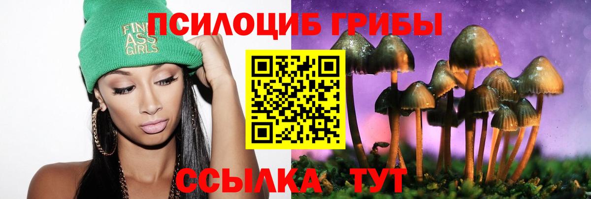 Сосновый Бор  Псилоцибиновые грибы прущие грибы  Вход с VPN  Галлюциногенные грибы GOLDEN TEACHER 